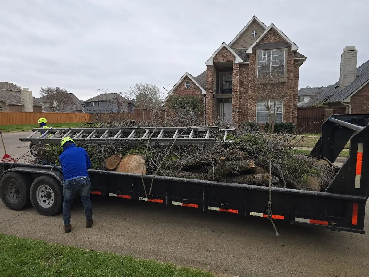 Expert Tree Fertilization with proper safety equipment in Vanleer